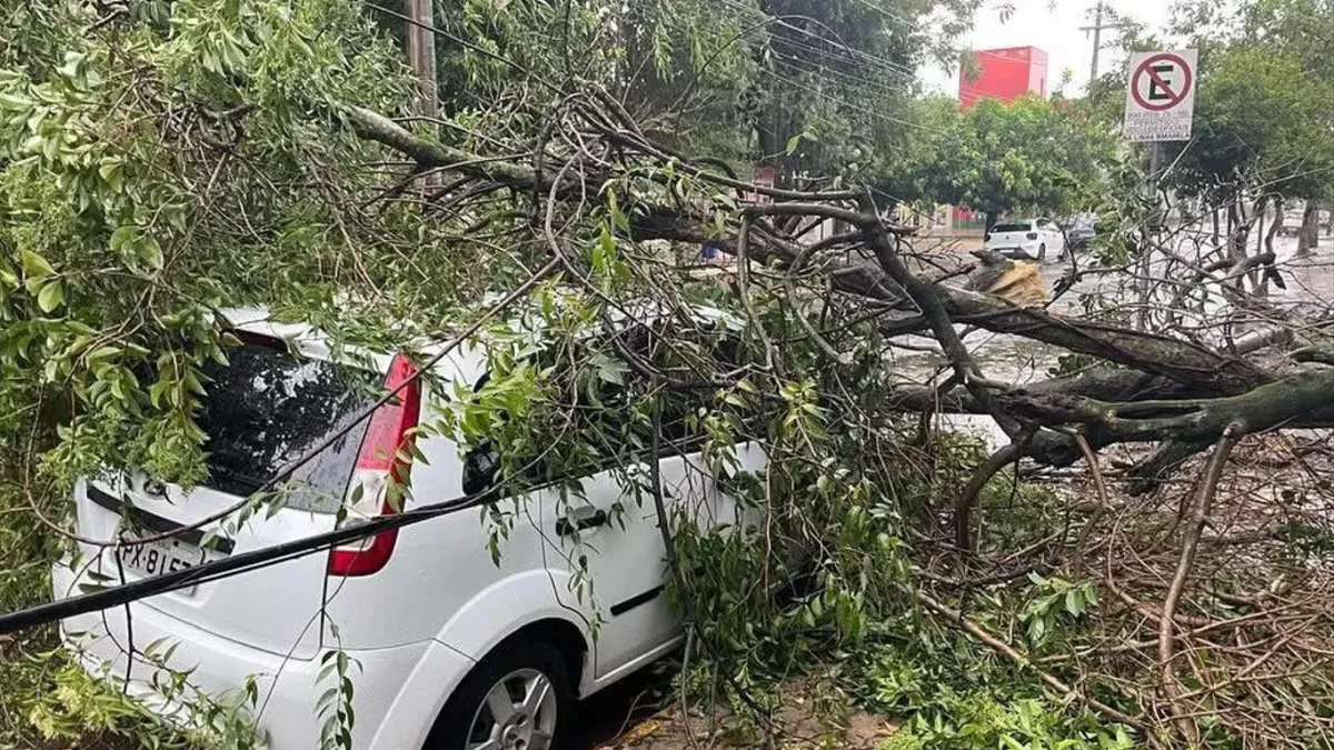 Rio Grande do Sul: Temporais Causam Danos em São Borja