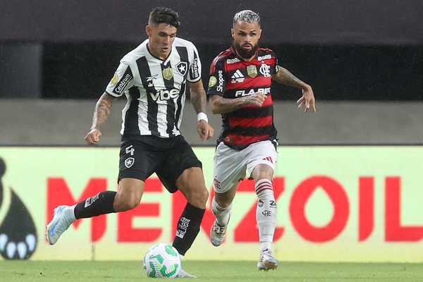 Desempenho do Botafogo: Lucas Halter e Matheus Martins abaixo da crítica