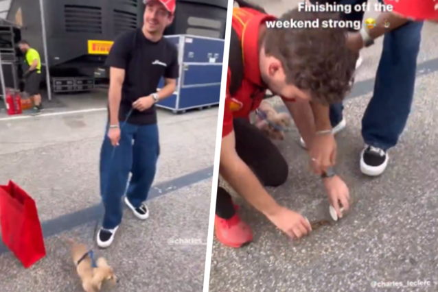 Fim de semana forte para Charles Leclerc: piloto da Ferrari recebe ajuda com seu cachorro no paddock