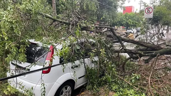 Rio Grande do Sul: Temporais Causam Danos em São Borja